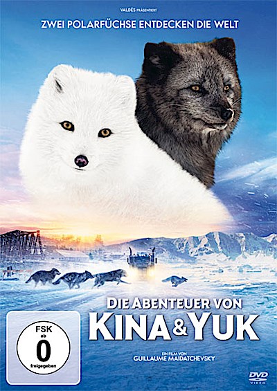 Die Abenteuer von Kina & Yuk - Zwei Polarfüchse entdecken die Welt, 1 DVD