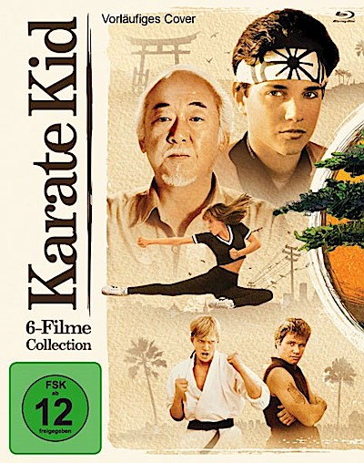 Karate Kid Collection