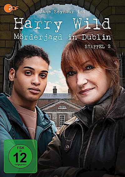 Harry Wild - Mörderjagd in Dublin