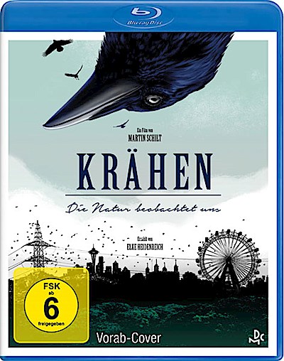 Krähen - Die Natur beobachtet uns