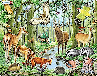 Puzzle - Europäischer Wald