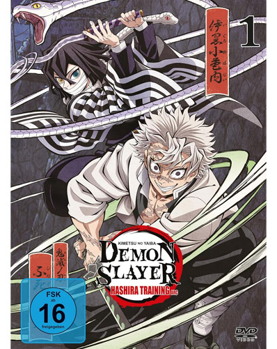 Demon Slayer: Kimetsu no Yaiba Hashira Training Arc - Vol.1 - [DVD]