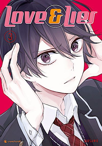Love & Lies. Bd.3