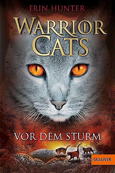 Warrior Cats Staffel 1/04. Vor dem Sturm