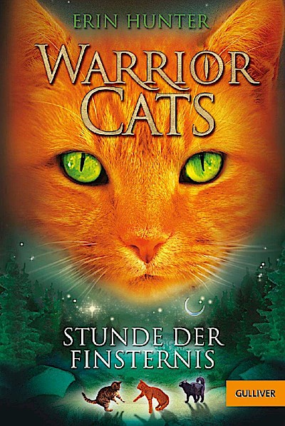 Warrior Cats Staffel 1/06. Stunde der Finsternis