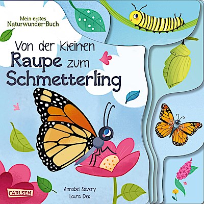Von der kleinen Raupe zum Schmetterling