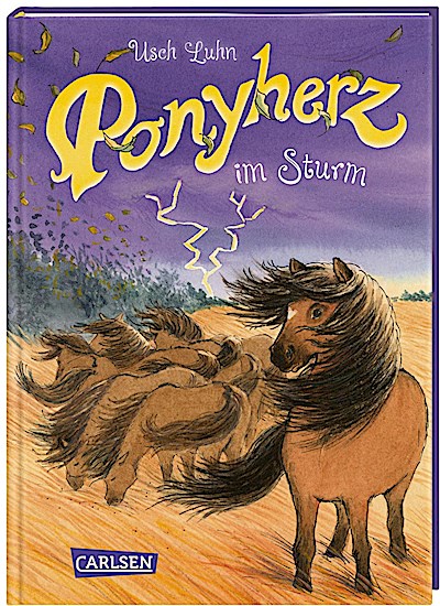 Ponyherz 14: Ponyherz im Sturm