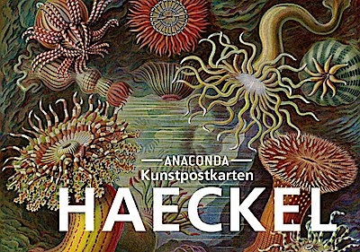 Postkarten-Set Ernst Haeckel
