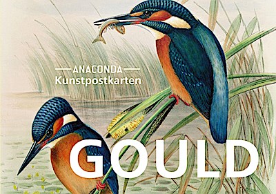 Postkarten-Set John Gould