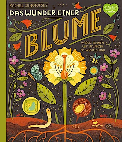 Das Wunder einer Blume - Warum Blumen und Pflanzen so wichtig sind