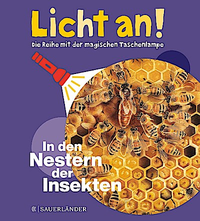 In den Nestern der Insekten