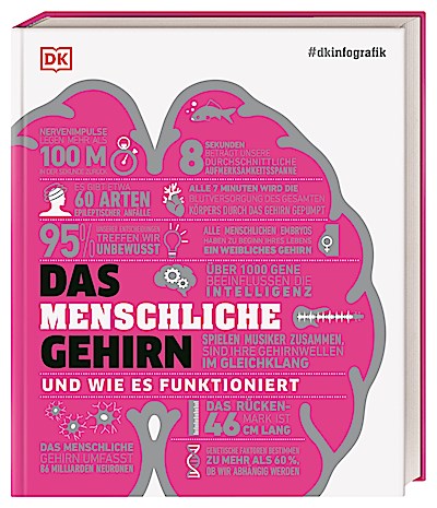 #dkinfografik. Das menschliche Gehirn und wie es funktioniert