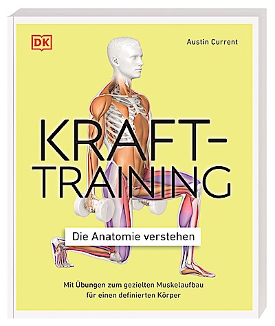 Krafttraining - Die Anatomie verstehen