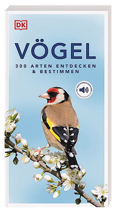 Vögel