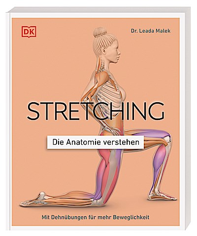Stretching - Die Anatomie verstehen
